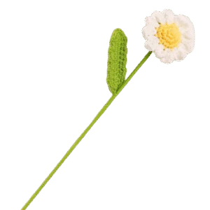 Crochet Daisy Flower (1piece)