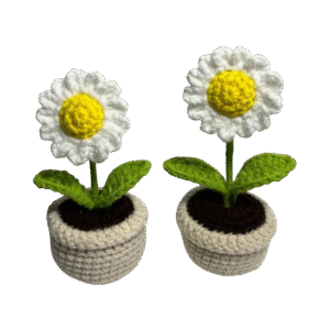Daisy Flower Pot