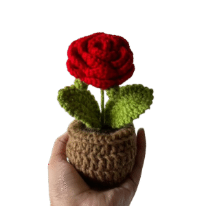 Rose Flower Pot