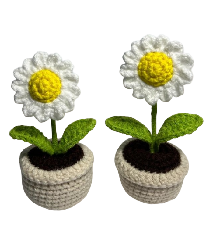 Daisy Flower Pot